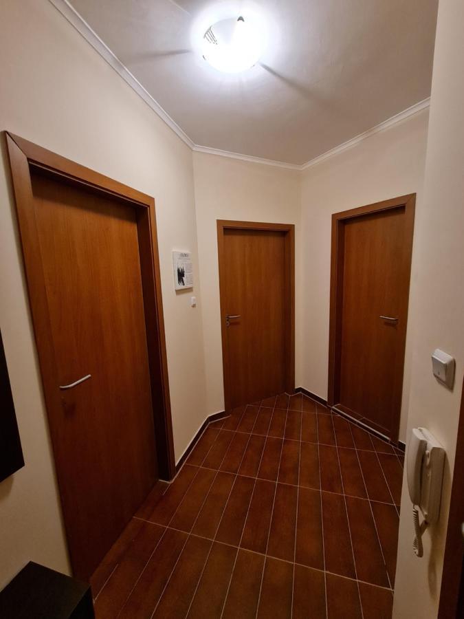 Bansko Vibes Apartments - Flora Boutique מראה חיצוני תמונה